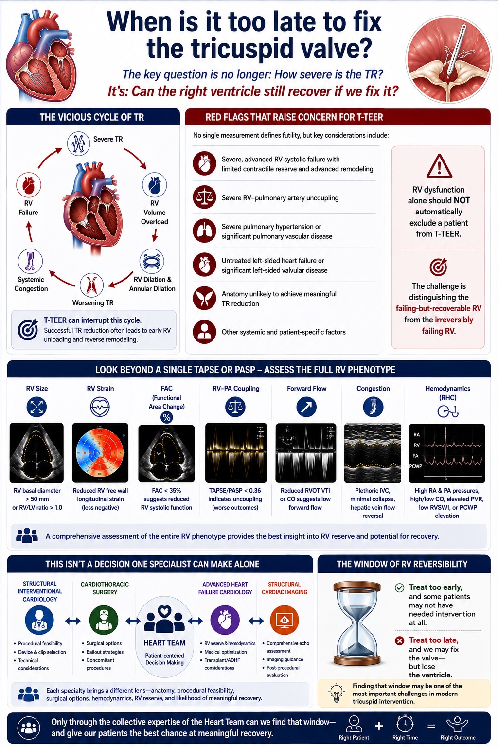 Tricuspid regurgitation and right ventricular failure infographic: severe TR drives a vicious cycle of RV volume overload, dilation, annular dilation, worsening TR, systemic congestion, and RV failure; red flags for T-TEER futility; the importance of assessing the full RV phenotype including size, strain, FAC, RV-PA coupling, forward flow, congestion, and hemodynamics; the multidisciplinary heart team approach; and the concept of the window of RV reversibility